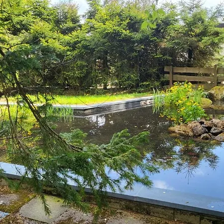 Traumausblick Hahnenklee *